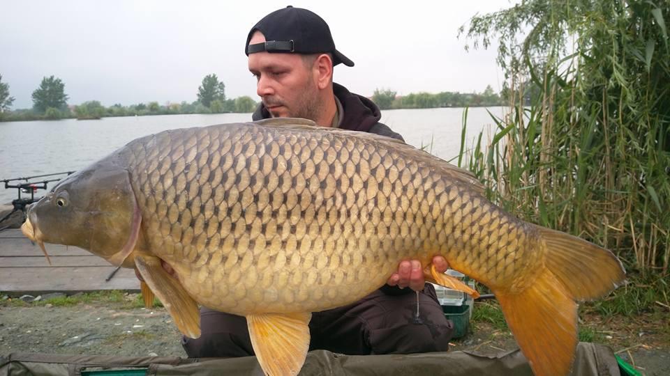  pescuit 2017 - 1834182915168040516857426051311538702172566n.jpg